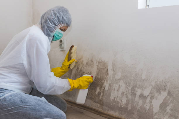 Mold Removal for HVAC Installations in Glenpool, OK
