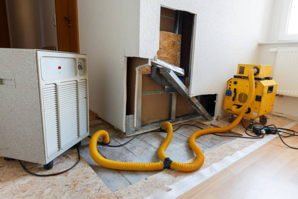 Best Real Estate Mold Inspection  in Glenpool, OK