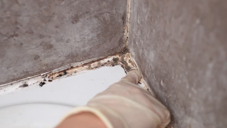 Best Water Damage & Mold Remediation  in Glenpool, OK